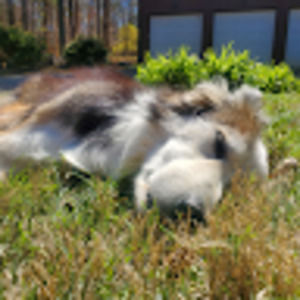 Meet your Posher, Elliana